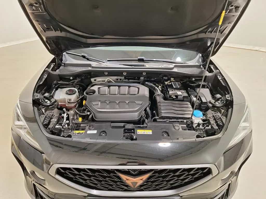Cupra Formentor 2.0 TSI VZ 4Drive Navi|ACC|RFK|LED|Win 09/2023-photo-13