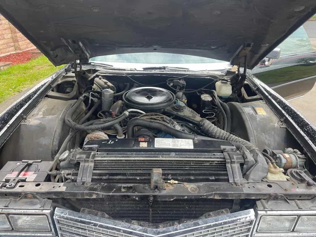 Cadillac Eldorado 01/1978-photo-12