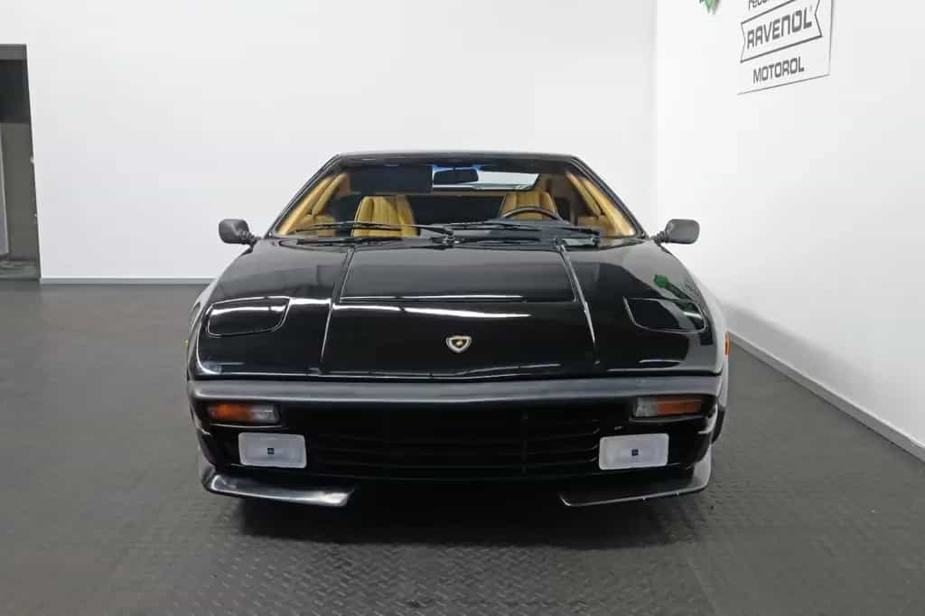 Lamborghini Jalpa 3.5 TARGA/WENIG-KM/SELTEN 07/1986-photo-7