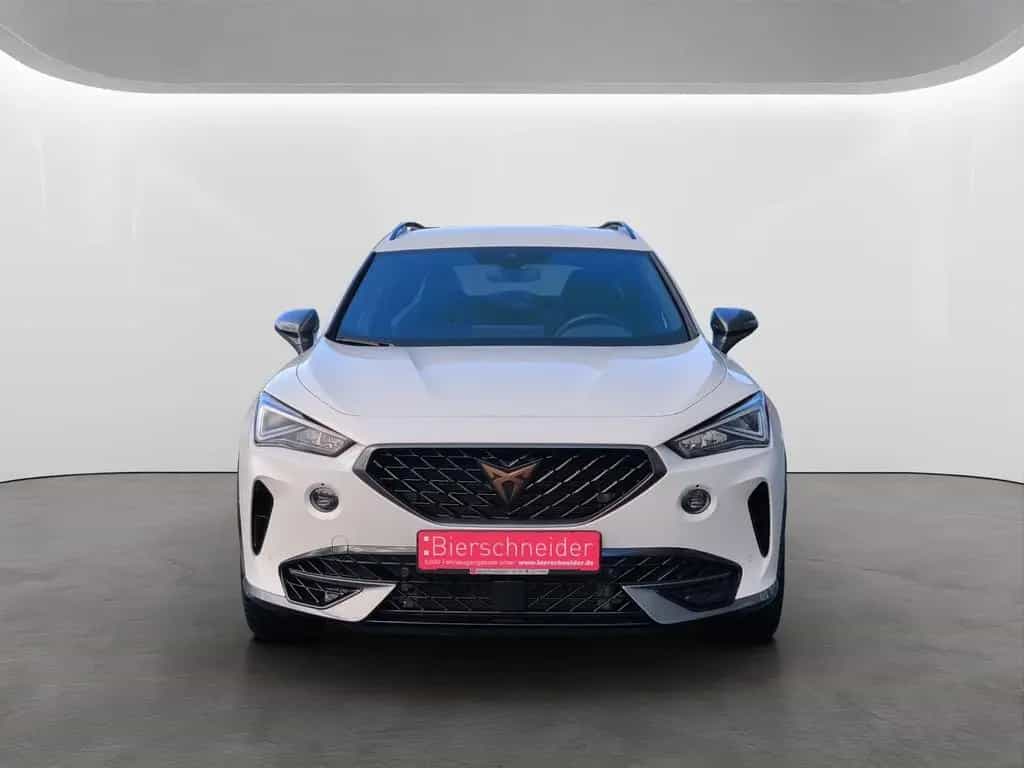 Cupra Formentor 2.0 TSI DSG 4Drive VZ LED NAVI BEATS K 09/2023-photo-4