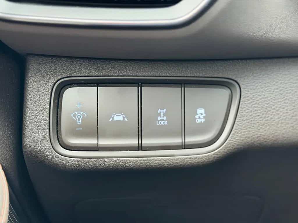 Hyundai SANTA FE 4WD Automatik Leder ACC Spur Memo 19" 11/2020-photo-24