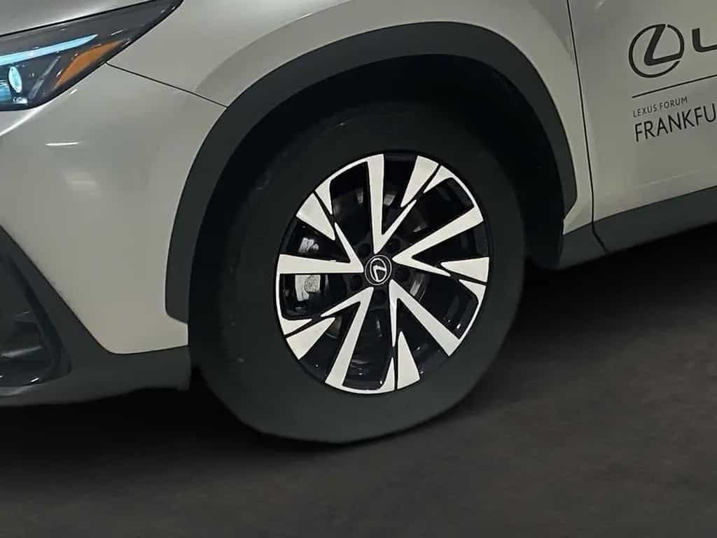 Lexus NX 350h 2.5 Hybrid Executive Line 360° KLIMA 12/2024-photo-7