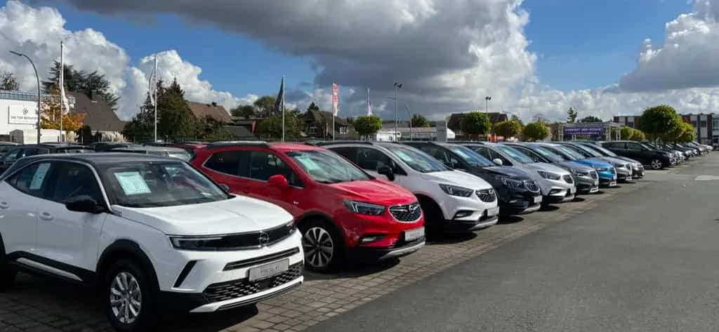 Volkswagen Golf 1.0 TSI Life*DAB*LED*APP CONNECT*PDC*ACC* 06/2021-photo-28