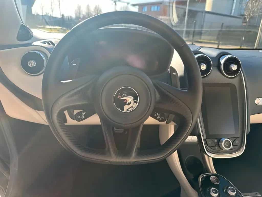 McLaren GT 03/2022-photo-19