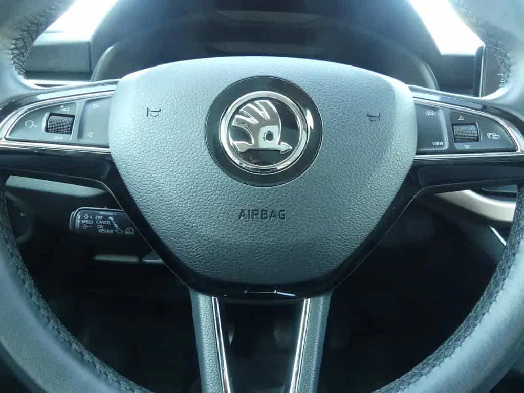 Skoda Scala Style 03/2020-photo-10