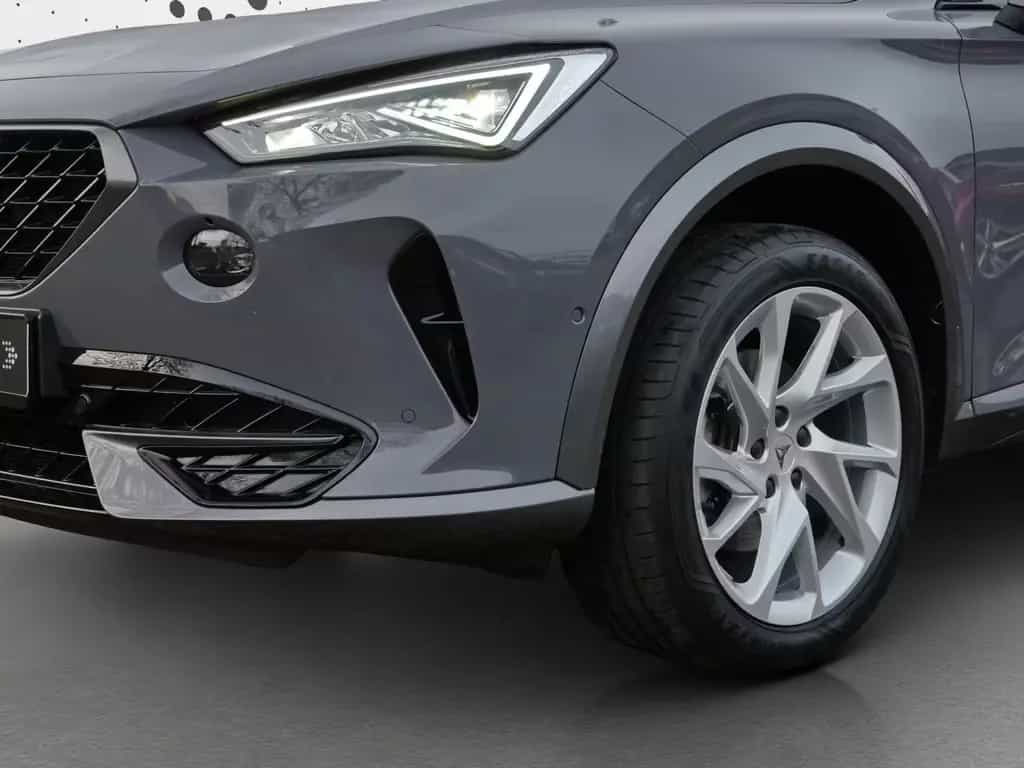 Cupra Formentor 2.0 TDI Rückfahrkamera*LED*Einparkh. 10/2023-photo-12