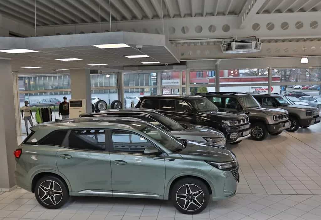 BAIC Beijing X55 1.5 Turbo ACC Panorama 360° Kamera null-photo-49