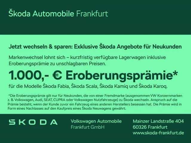 Skoda Fabia Balance 1,0 TSI 85 kW 7-Gang-DSG zzgl. 1.0 null-photo-1
