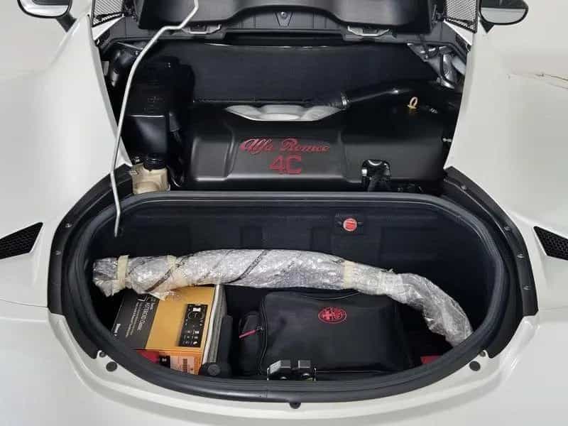 Alfa Romeo 4C Coupe 1750 tbi Competizione 240cv 05/2014-photo-11