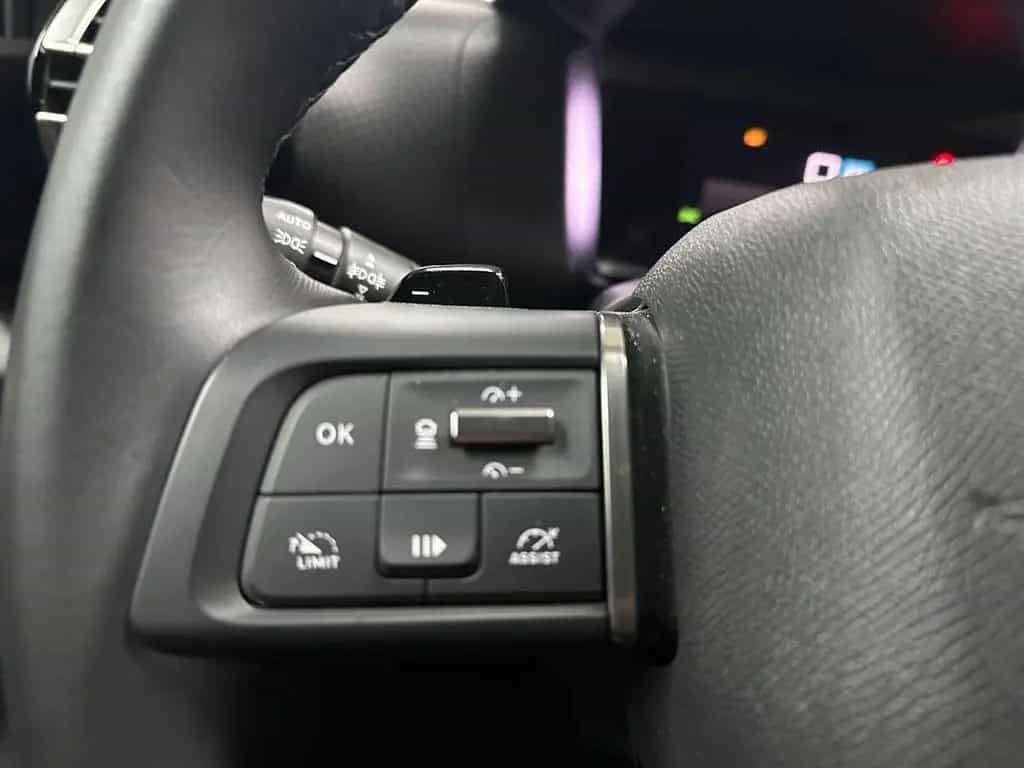Citroën C4 Max 1.2 PT 130 Autom.+Navi+360CAM+PanoDach+AC 06/2024-photo-19