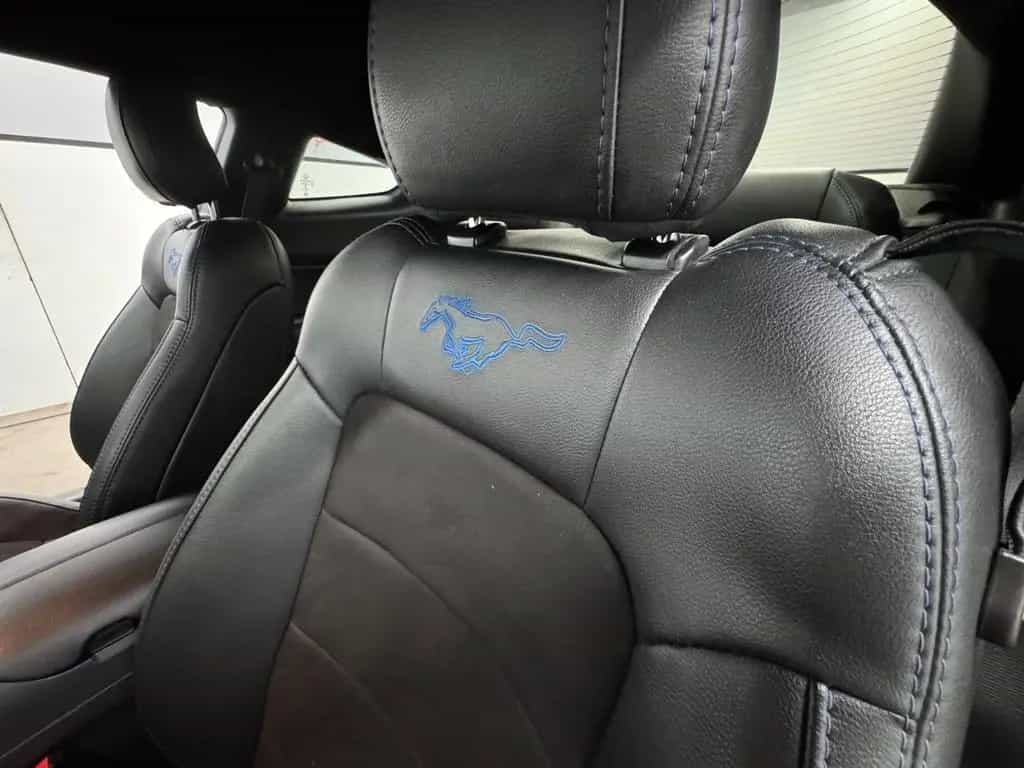 Ford Mustang 2.3 Eco/12"Display/TV/Navi/Kam/LED/ 07/2019-photo-21