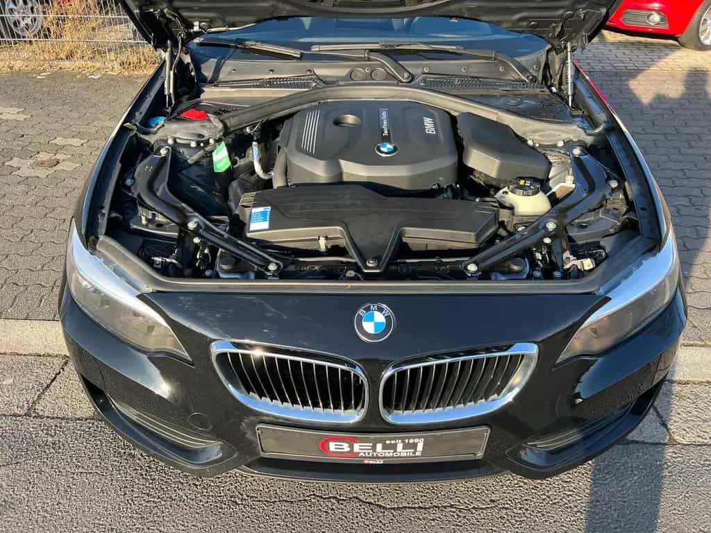 BMW 2 Series i Cabrio PDC Navi  FINANZIERUNG 05/2016-photo-16