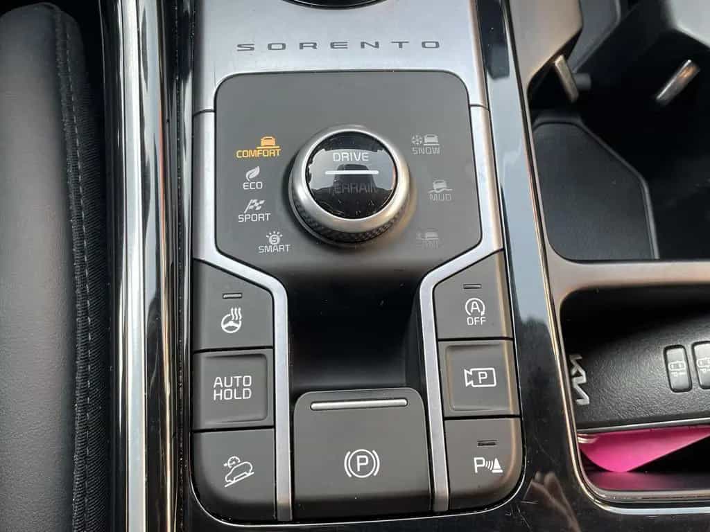 Kia Sorento 2.2 CRDi AWD Platinum 12/2021-photo-31