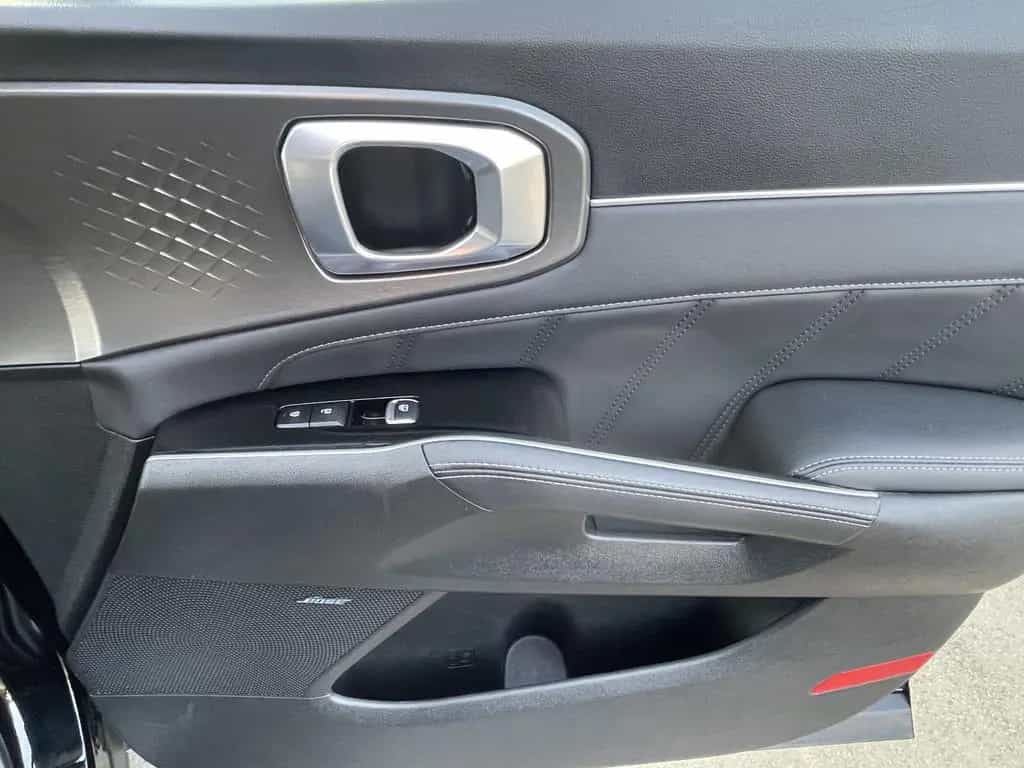 Kia Sorento 2.2 CRDi AWD Platinum 12/2021-photo-34