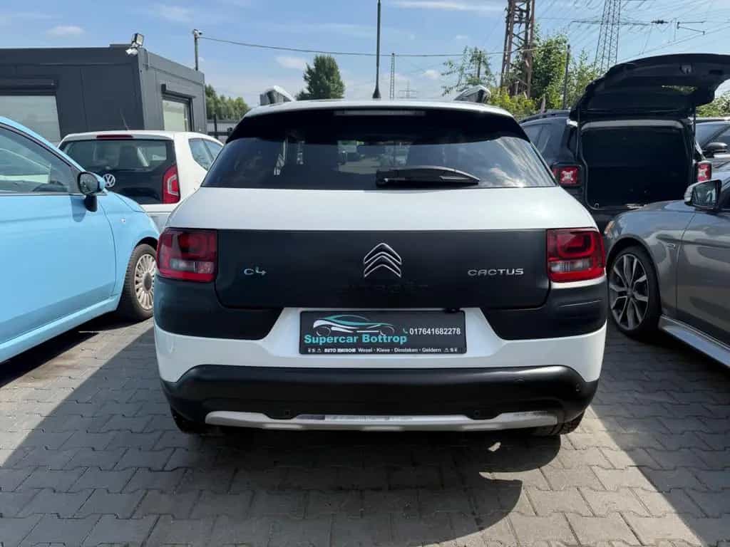 Citroën C4 Cactus Rip Curl Tuv Neu Start/Stopp-Automatik 07/2016-photo-3