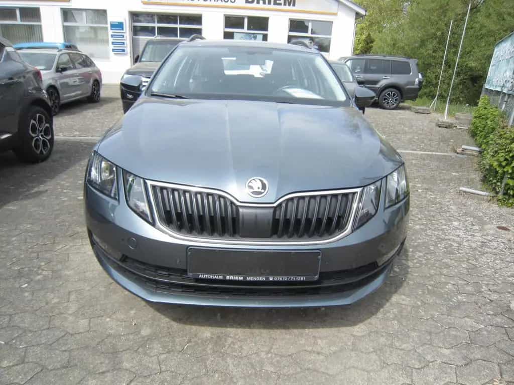 Skoda Octavia Kombi Ambition1.Hd,NAVI,Induktionsladen 08/2018-photo-1