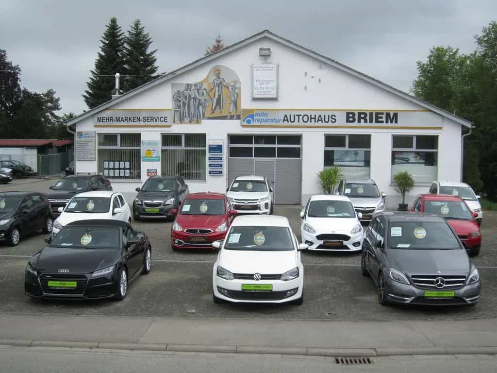 Skoda Octavia Kombi Ambition1.Hd,NAVI,Induktionsladen 08/2018-photo-19