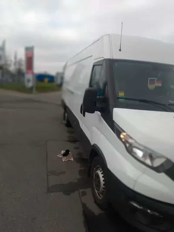 Iveco daily-2020 Diesel -132 kw-180 ps. .. 12/2020-photo-12