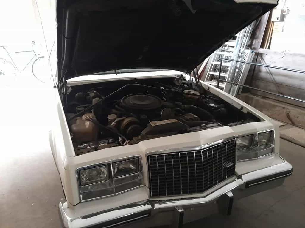 Buick Riviera Cabrio 5.0 V8 07/1983-photo-14