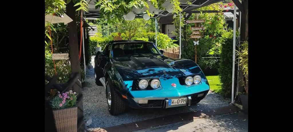 Corvette C3 01/1976-photo-0