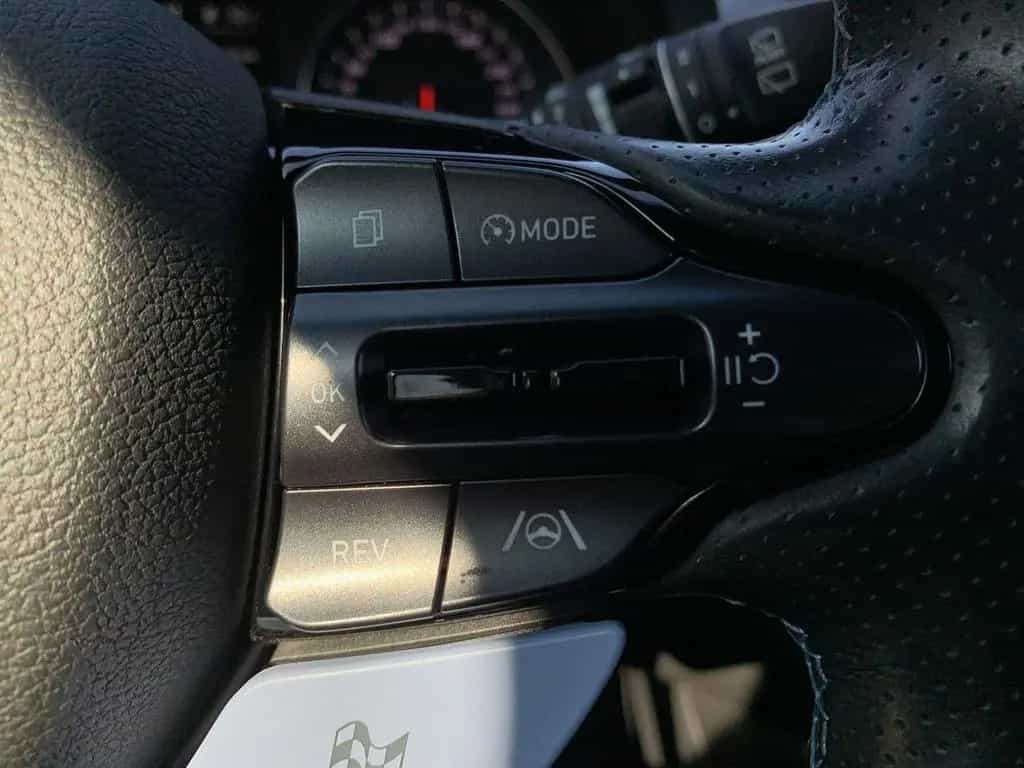 Hyundai i30 N PERFORMANCE 2.0 T-GDI SHZ+PDC+NAVI+DAB 12/2022-photo-30