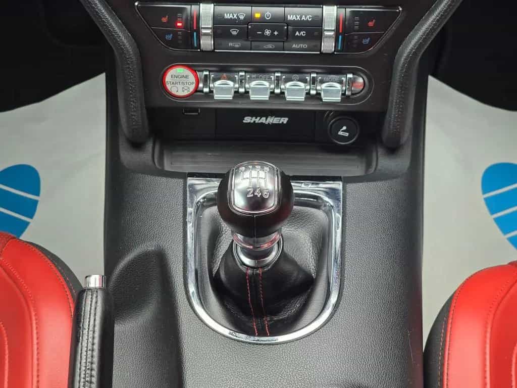 Ford Mustang Ford Mustang 2.3|RemusAbgas|Deutsch|Kame 07/2017-photo-31