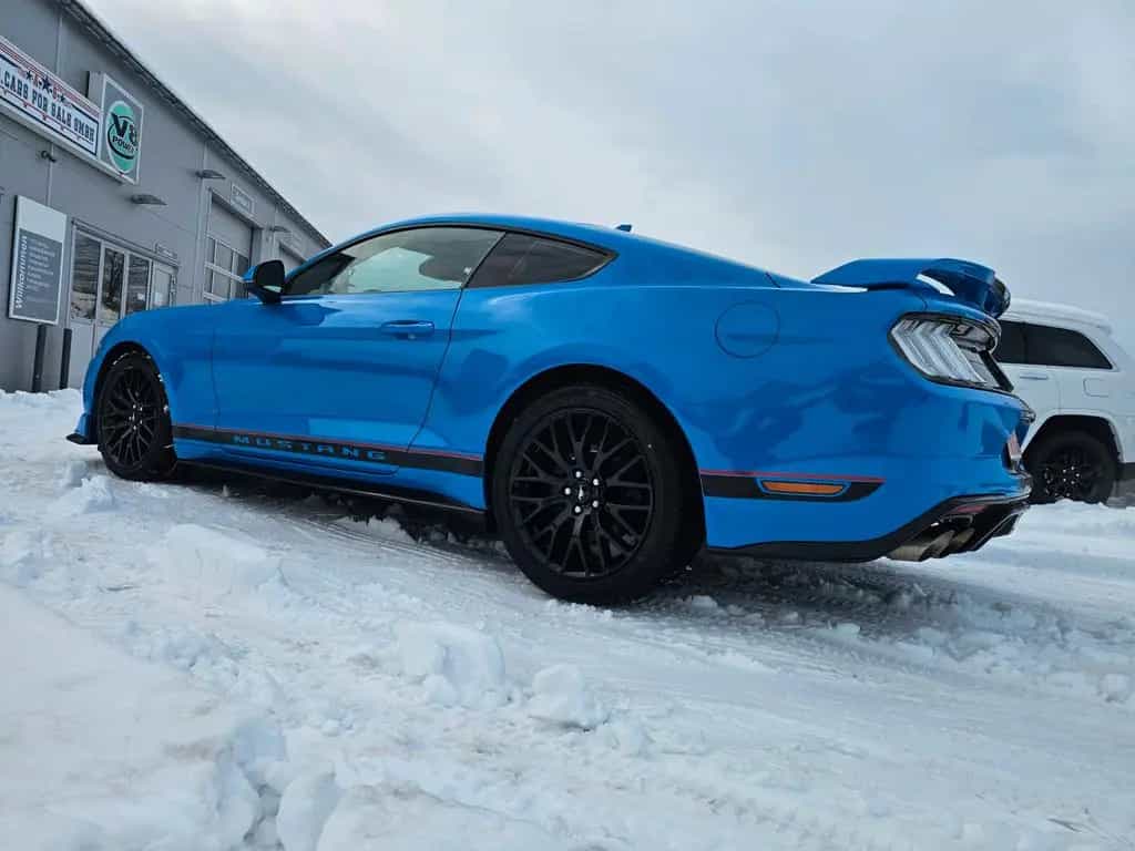 Ford Mustang 5.0 Ti-VCT V8 GT Auto. EU-Model 07/2023-photo-10