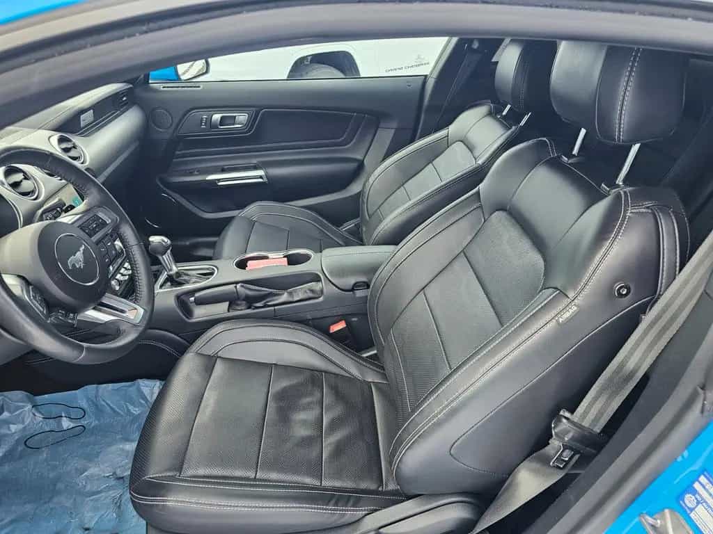 Ford Mustang 5.0 Ti-VCT V8 GT Auto. EU-Model 07/2023-photo-15