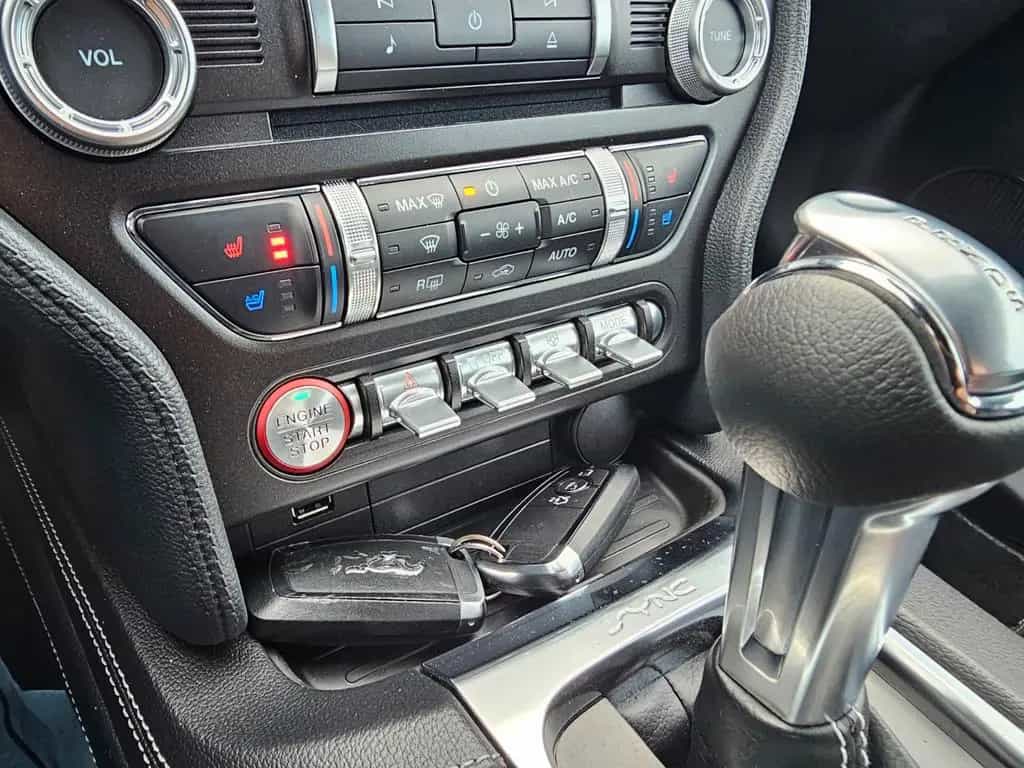 Ford Mustang 5.0 Ti-VCT V8 GT Auto. EU-Model 07/2023-photo-17