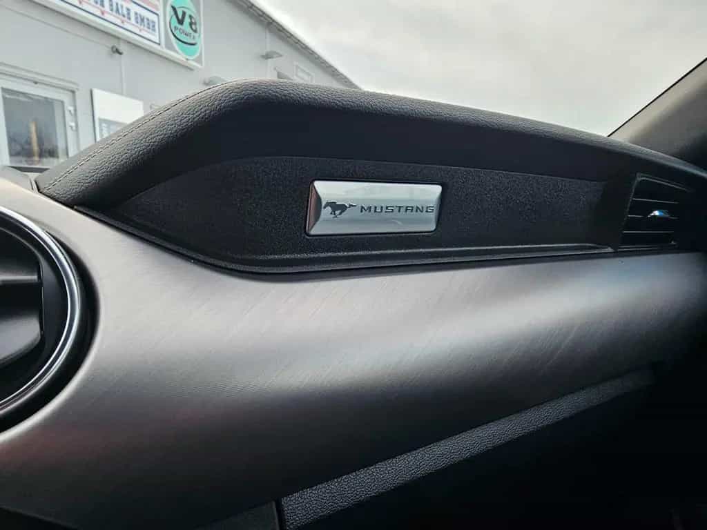 Ford Mustang 5.0 Ti-VCT V8 GT Auto. EU-Model 07/2023-photo-19