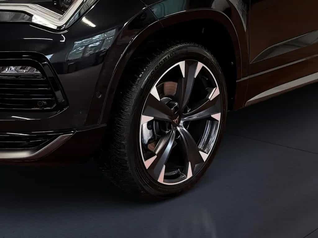 Cupra Ateca 2.0 TSI 4Drive DSG LED Navi ACC 360° Beats 10/2024-photo-13