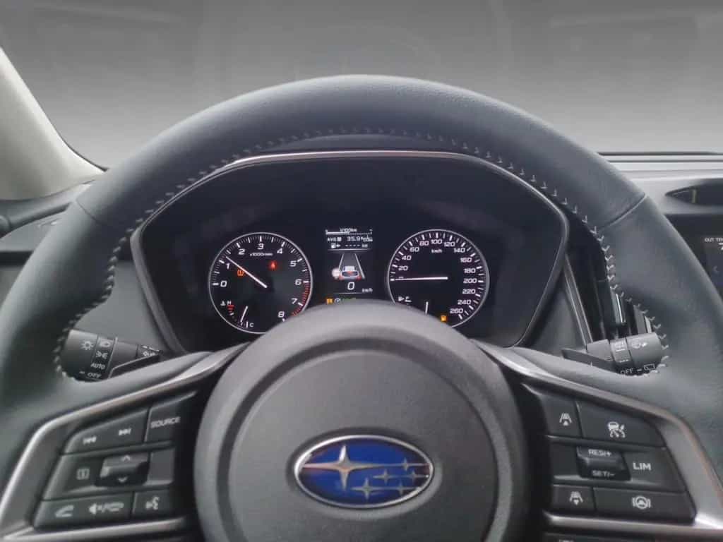 Subaru Outback 2.5i Active SHZ KAMERA NAVI ACC LED null-photo-11