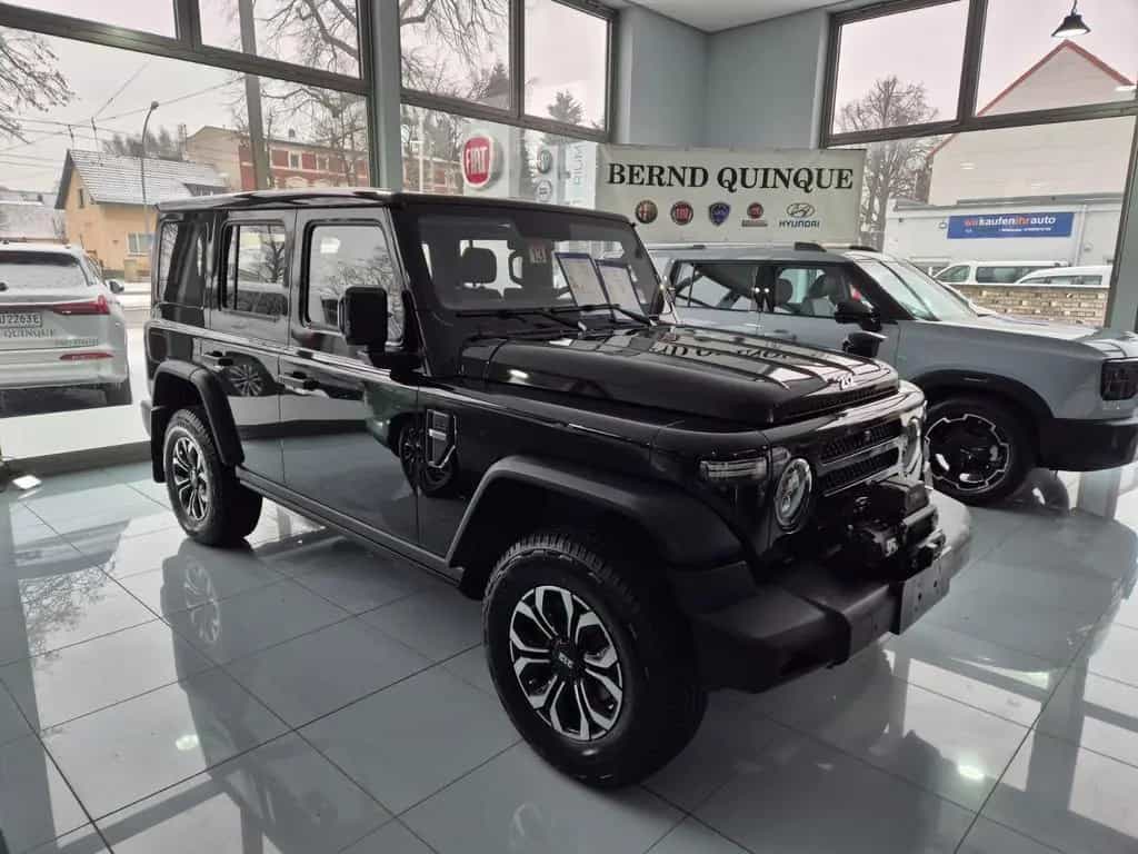 BAW 212 NEU! Offroader Seilwinde null-photo-21