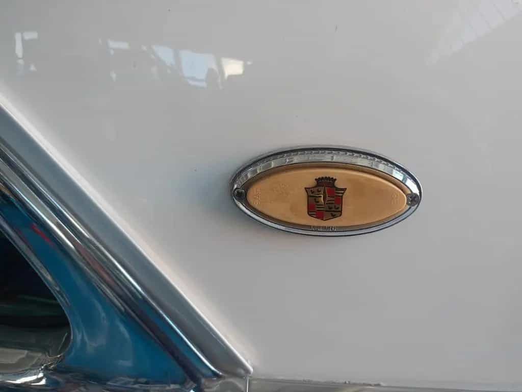 Cadillac Fleetwood 75 Presidenziale 01/1956-photo-5