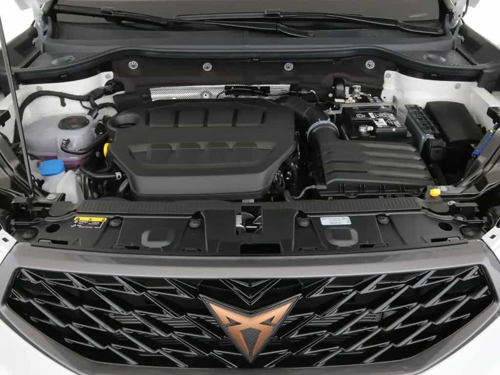 Cupra Ateca VZ 2.0 TSI 300PS 7 Gang DSG 4Drive VZ LED 08/2025-photo-23