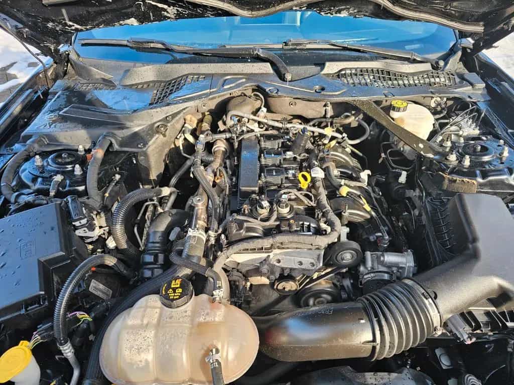 Ford Mustang 2,3 EcoBoost.Automatik. 09/2020-photo-18