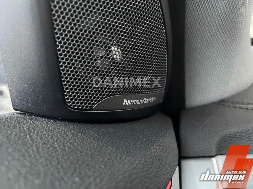 BMW X1 xDrive20d xLine M-Sportl.  Busi Pano Harm AHK 09/2020-photo-22