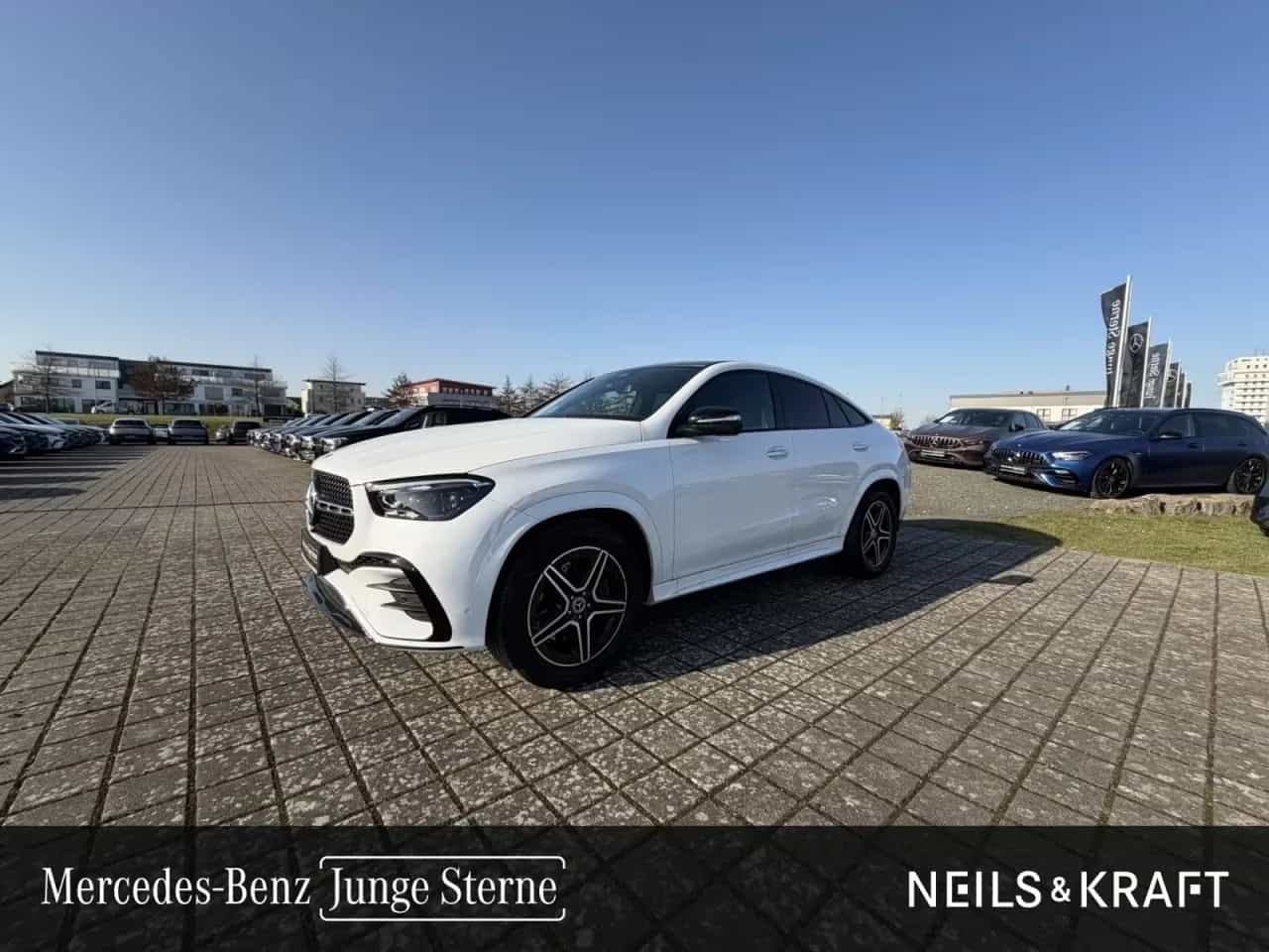 Mercedes-Benz GLE-Class 300 04/2025-photo-0