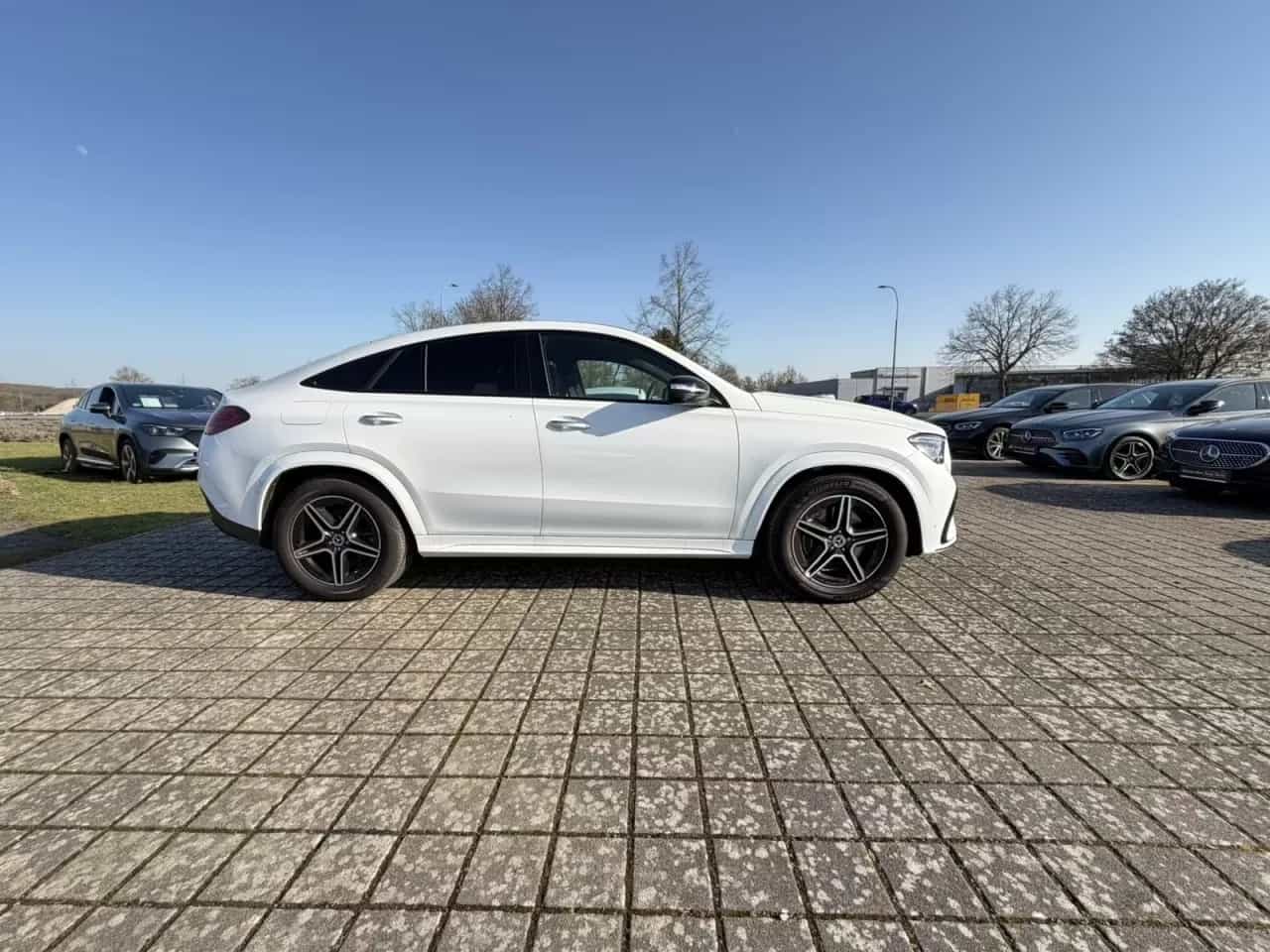 Mercedes-Benz GLE-Class 300 04/2025-photo-5