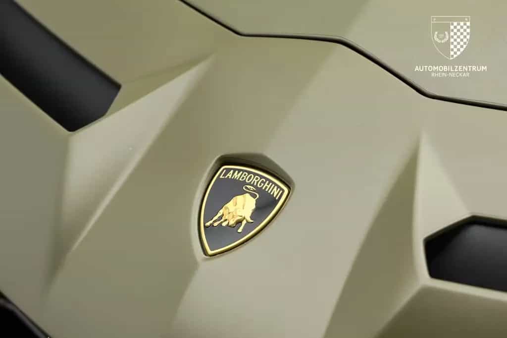 Lamborghini Aventador SVJ FullCarbon/AdPersonam/Lift/PPF 08/2019-photo-31