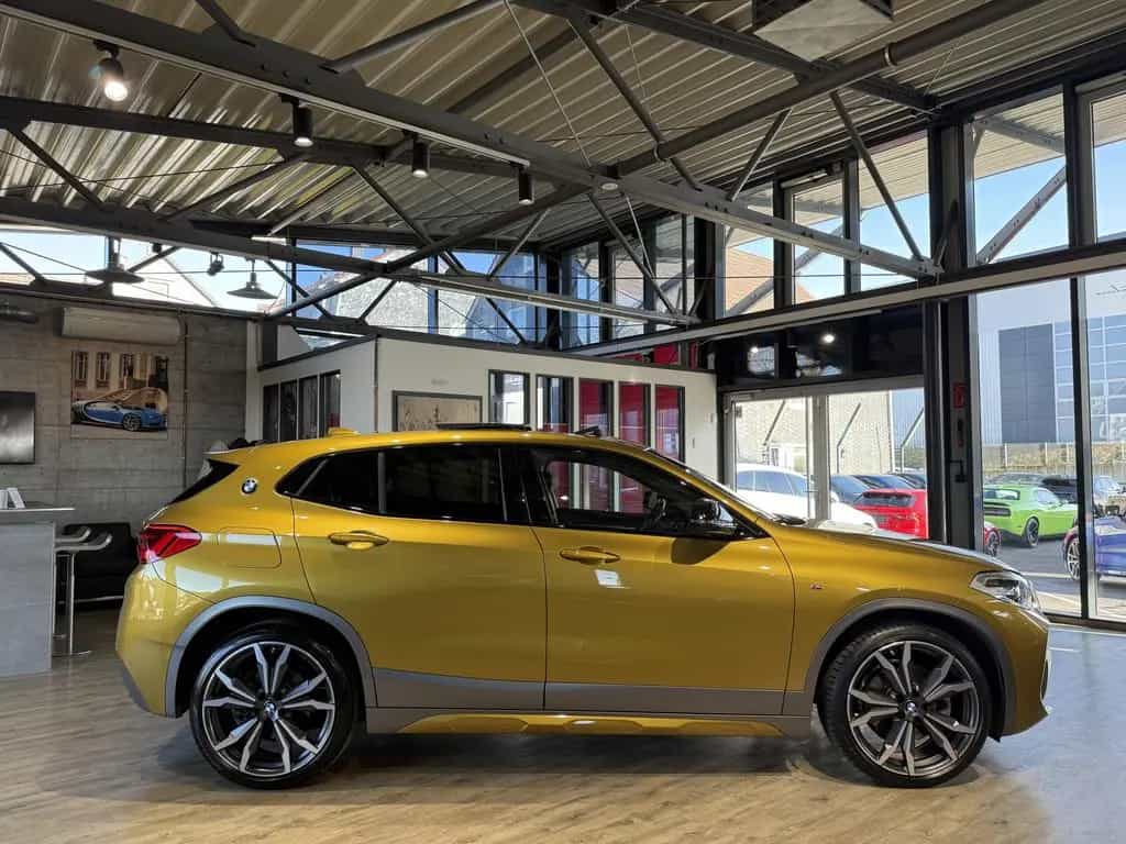 BMW X2 sDrive 20 i M Sport X*PANO*KAMERA*ACC*H&K*HUD 03/2018-photo-6