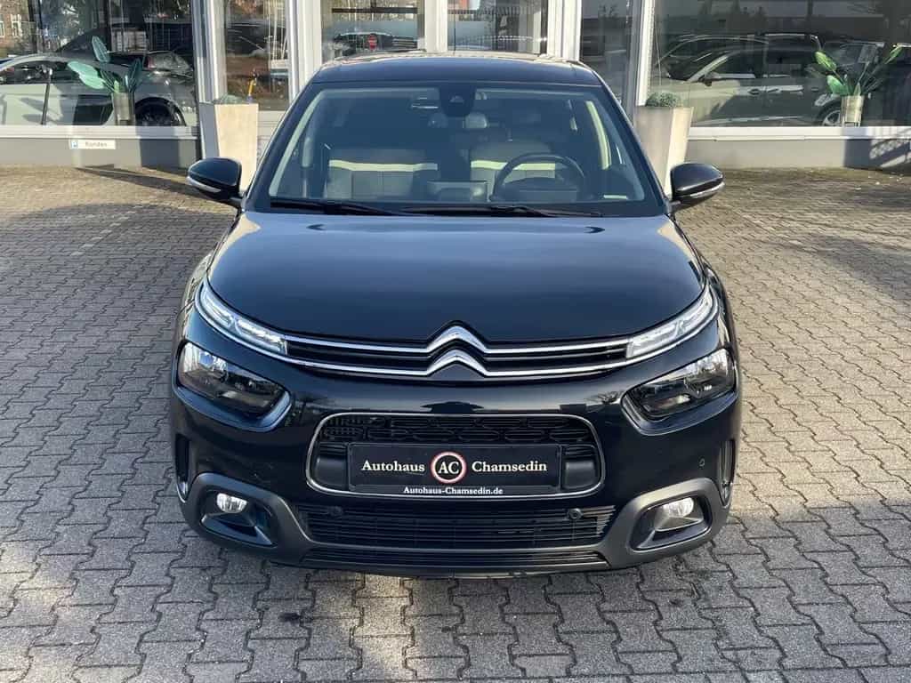 Citroën C4 Cactus Shine 01/2019-photo-0