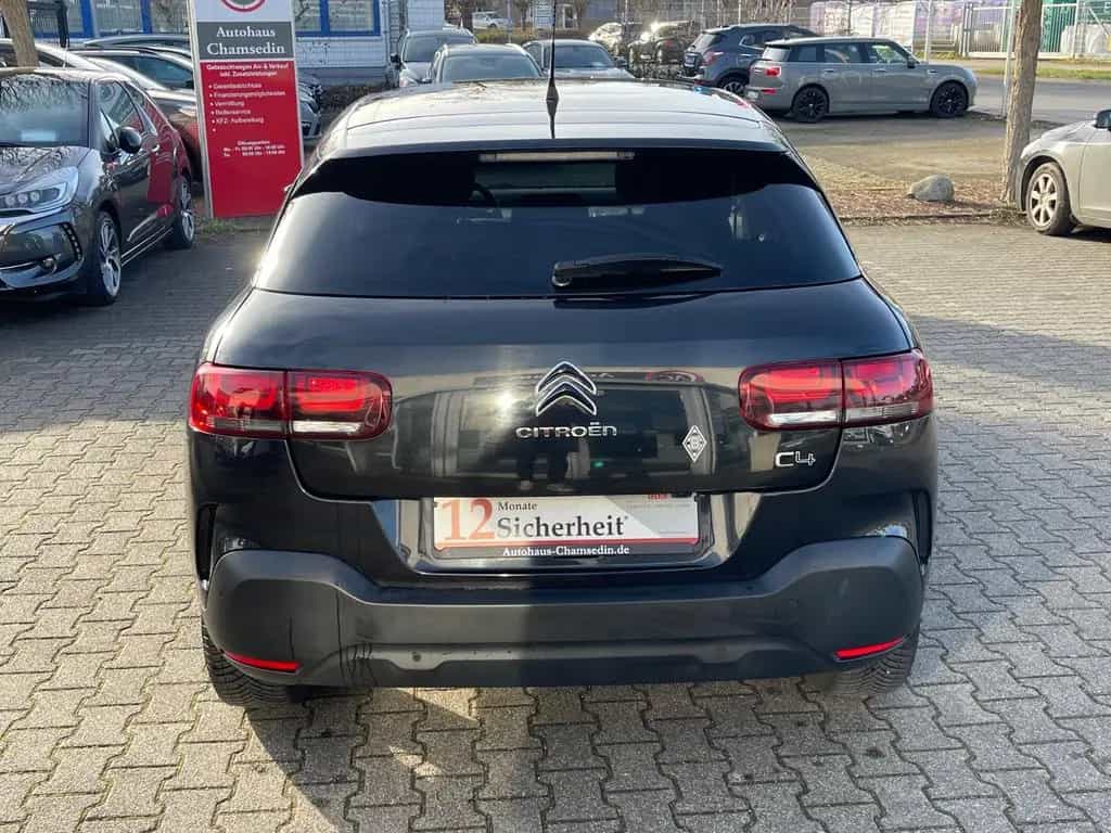 Citroën C4 Cactus Shine 01/2019-photo-4