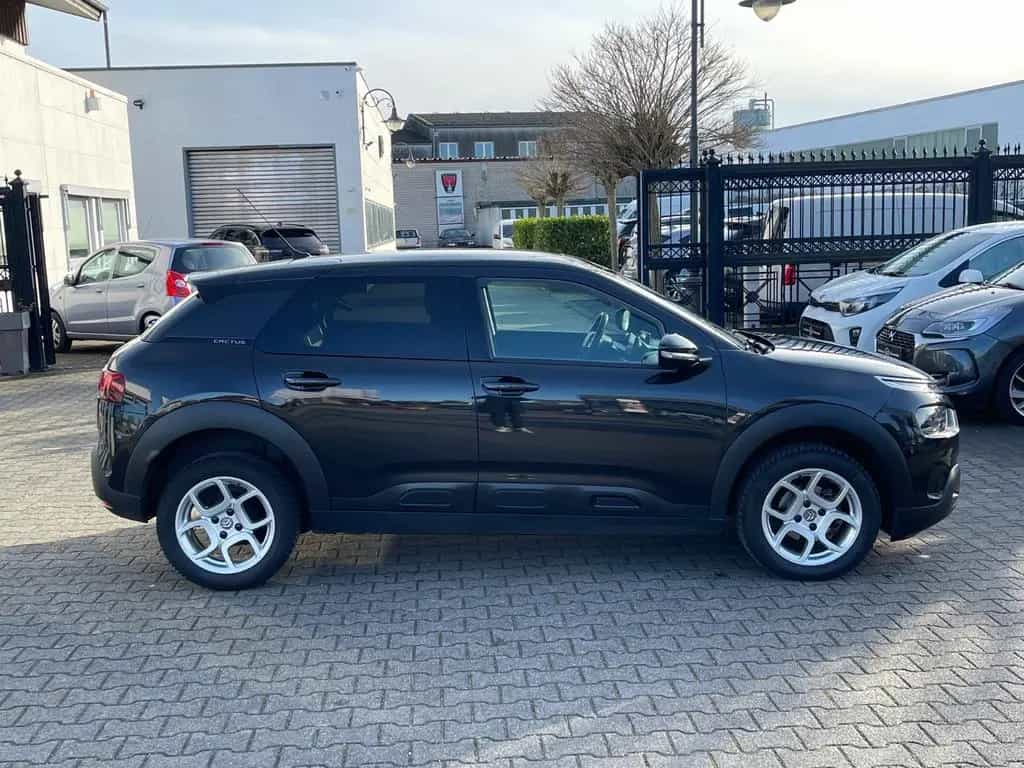 Citroën C4 Cactus Shine 01/2019-photo-6