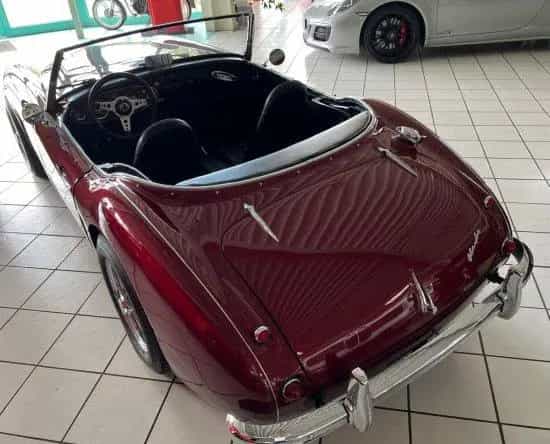 Austin Healey 100-six BN4 Roadster im Topzustand 02/1958-photo-6