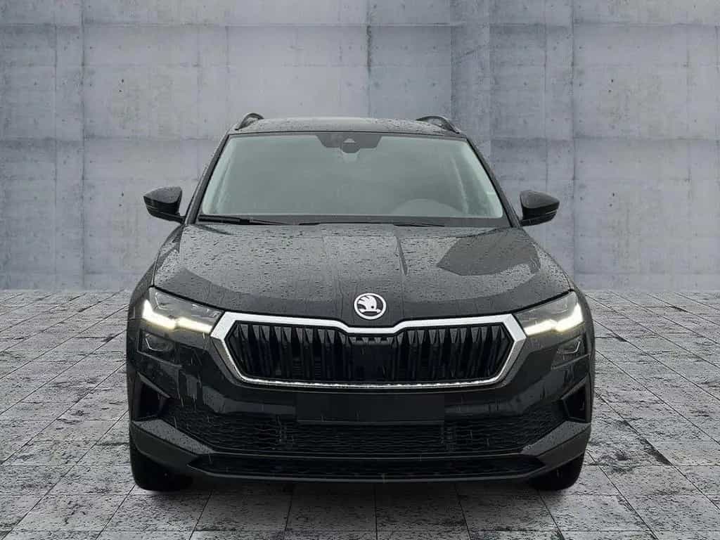 Skoda Karoq Selection 1.5 TSI DSG eKlappe NAVI RFK PDC 05/2024-photo-1