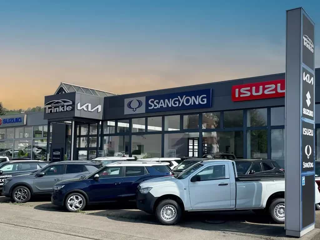 Isuzu D-Max Space Cab 4WD L Laderaumbeschichtung Apple null-photo-12