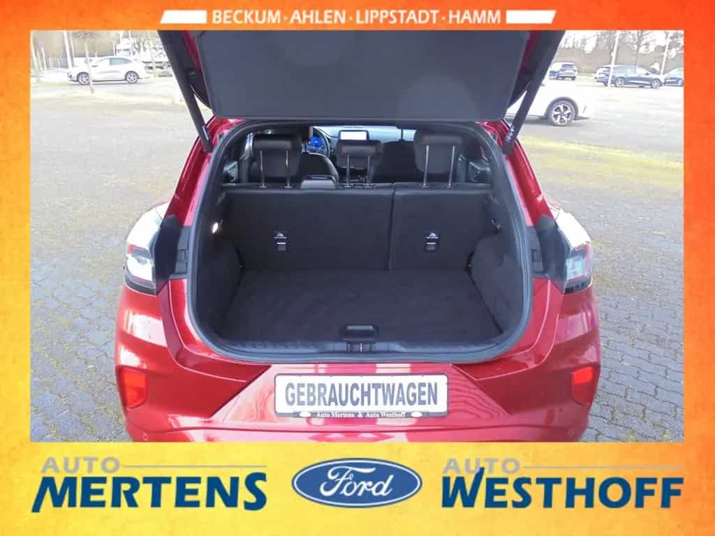 Ford Puma ST-Line X 1.0 Navi Kamera LED Winter-Paket 01/2020-photo-12