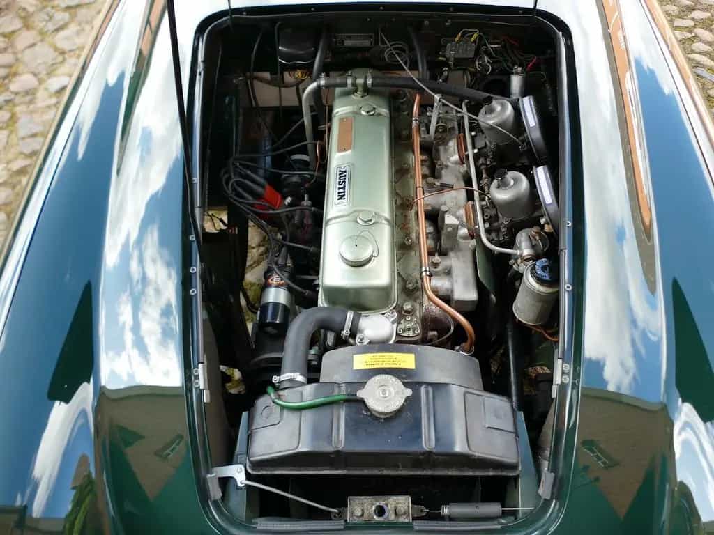 Austin Healey 3000 MKI british racing green 07/1960-photo-13