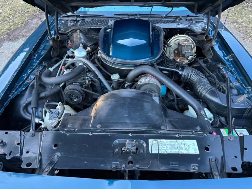 Pontiac Trans Am 6,6 orig.28tmls,Erstlack!Liebhaberfzg! 03/1979-photo-19